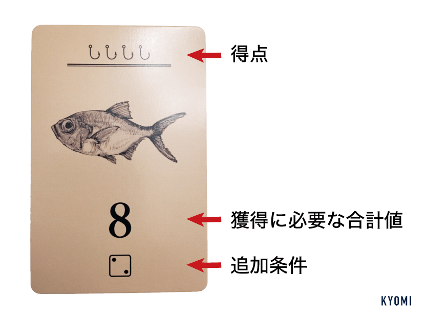 ダイ公望-写真-お魚カード