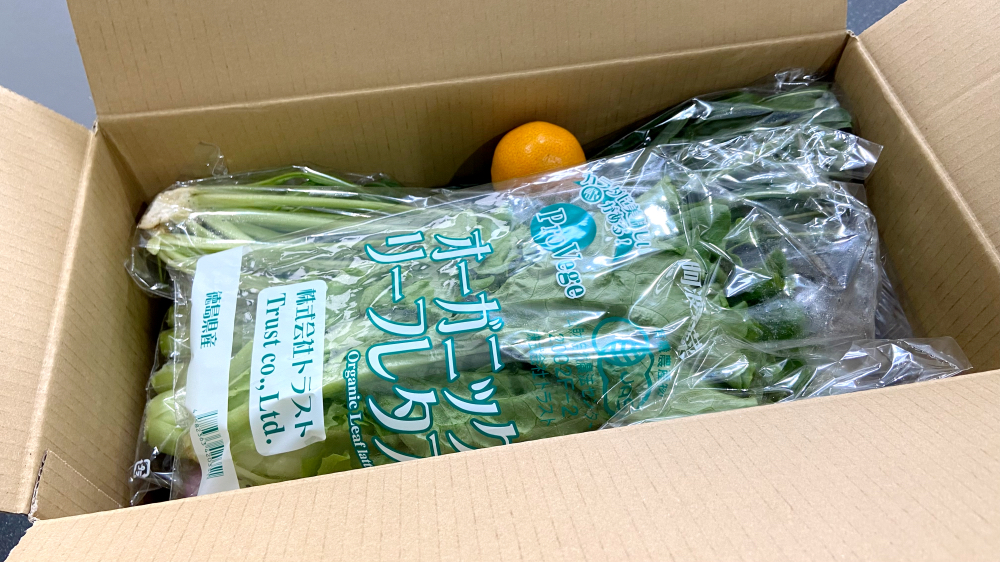 坂ノ途中　届いた野菜